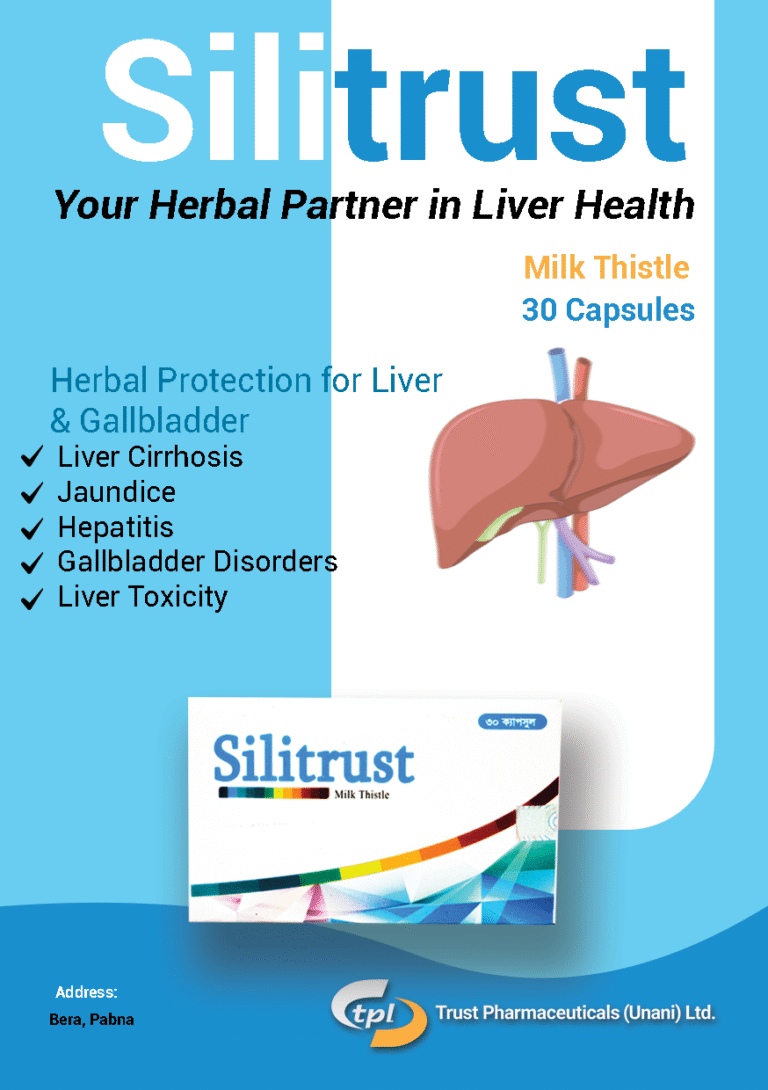 528401559_785532431303636_120573497984850681_n (1)