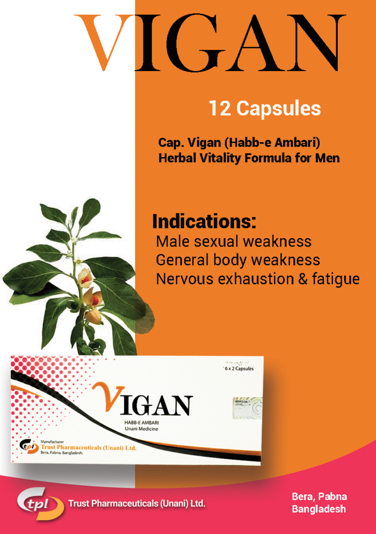 540933220_1991447118307295_4942578108697860075_n